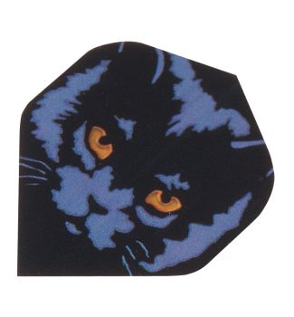 Polymet Cat