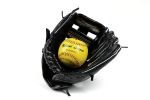 Baseballhandschuh inkl. Softball